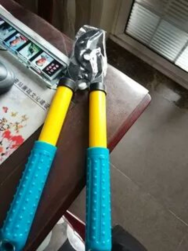包邮修枝剪园艺剪刀整枝花枝剪树枝粗枝剪园林工具粗枝花