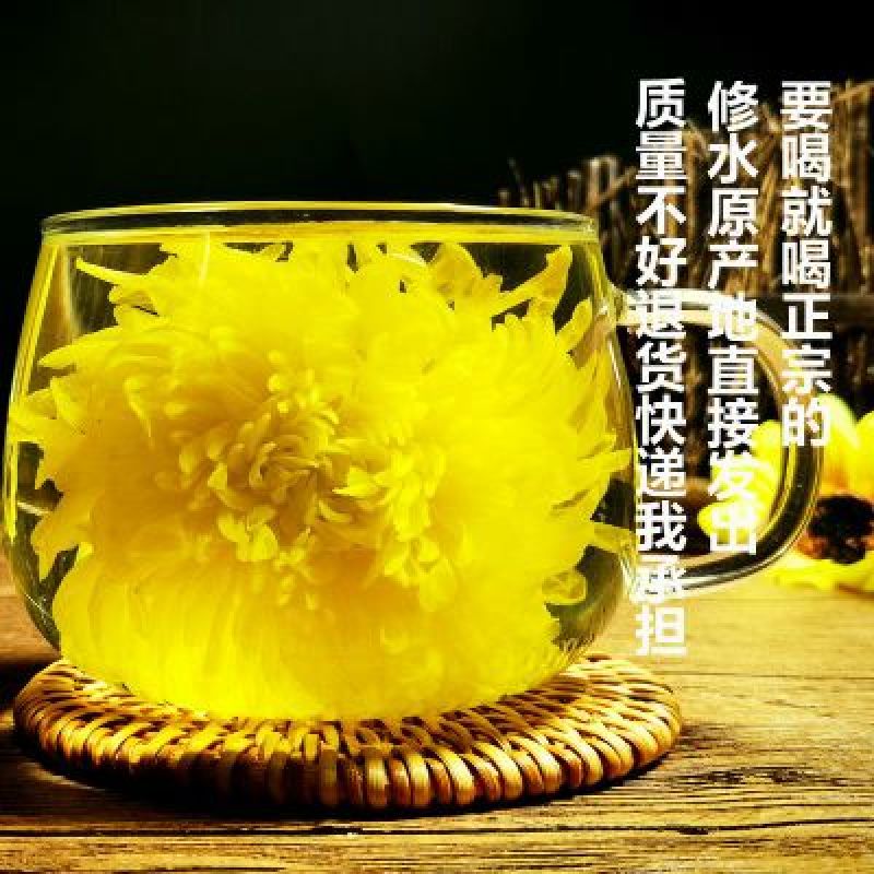 菊花茶金丝皇菊一朵一杯黄菊特级花茶清热去火