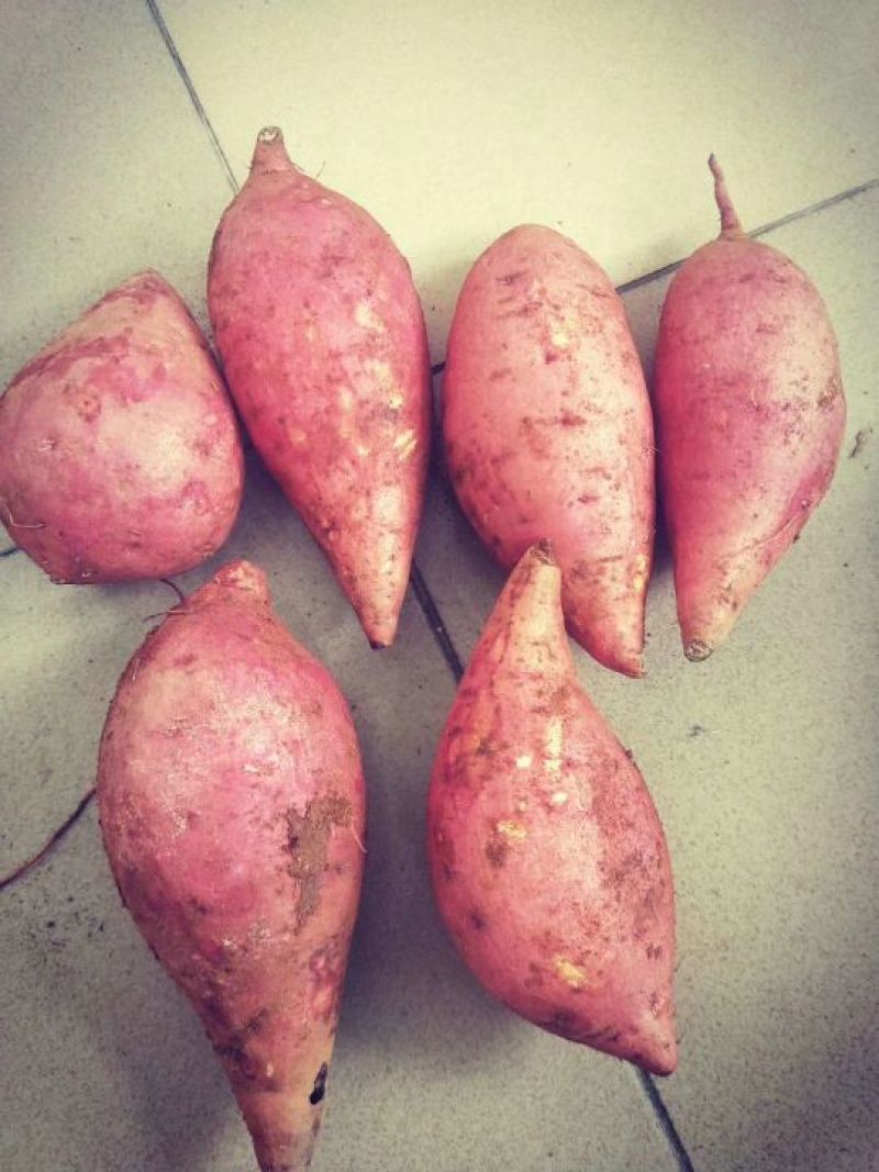 西瓜红，三两以上
