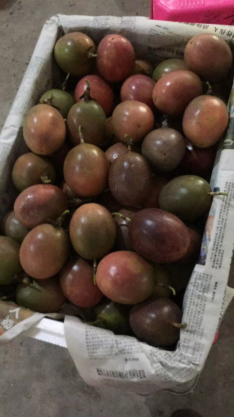 越南二级百香果