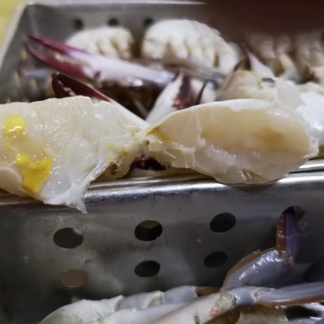 切蟹