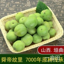 青皮核桃一件代发