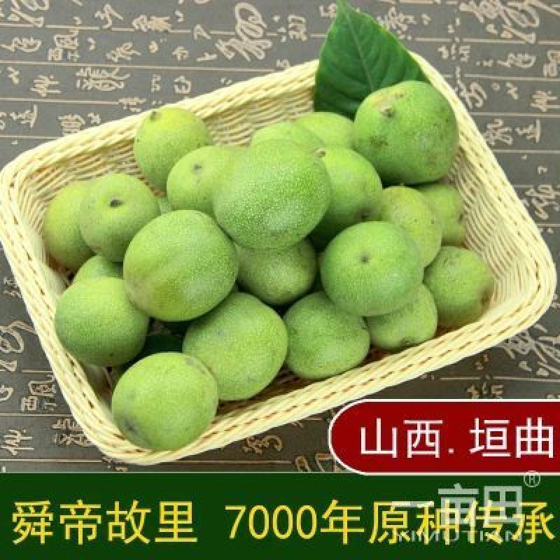 青皮核桃一件代发