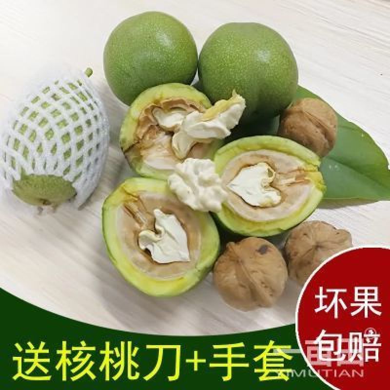 青皮核桃一件代发