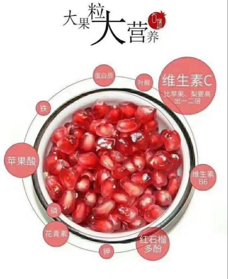 四川突尼斯软籽石榴8两~1斤个大饱满果园直发