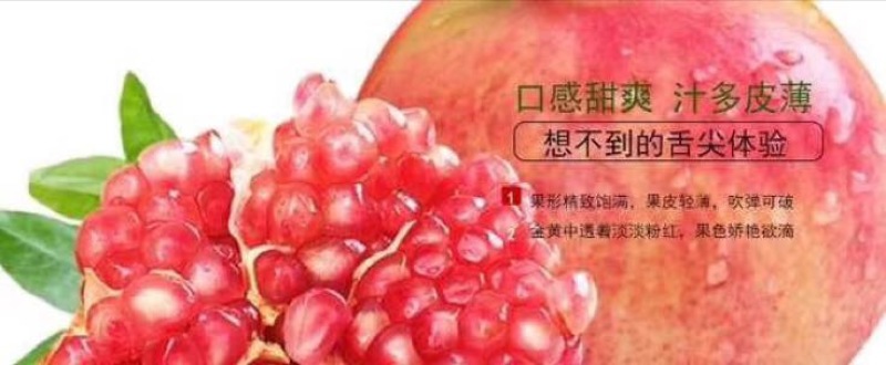 四川突尼斯软籽石榴8两~1斤个大饱满果园直发