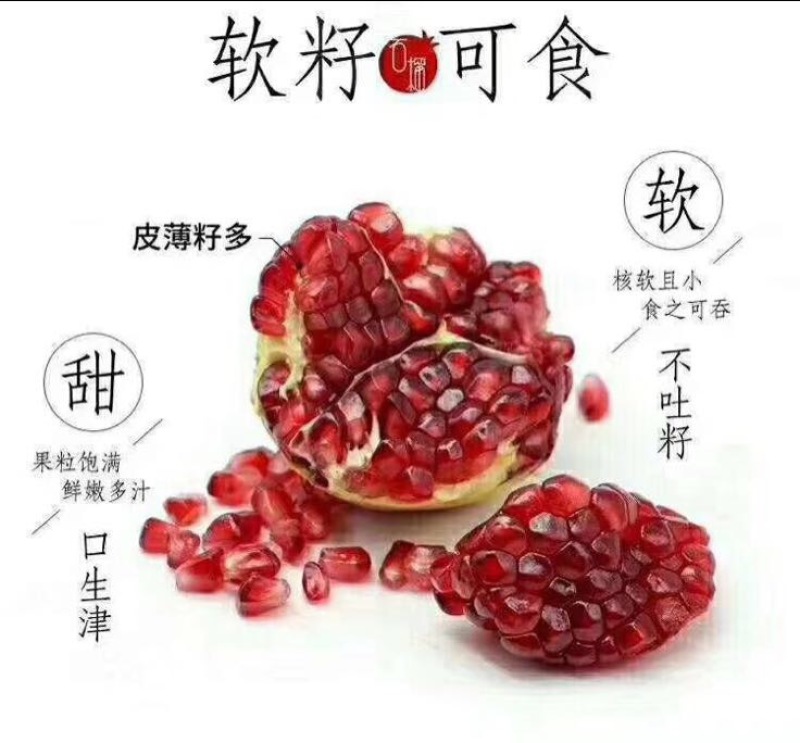 四川突尼斯软籽石榴8两~1斤个大饱满果园直发