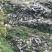 野生石耳大量供货质量保证实力代收代发黑龙江石耳