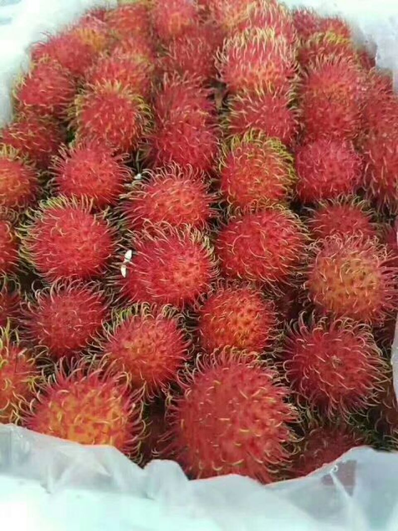 越南红毛丹