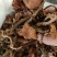 【特惠】树秋菌食用菌量大从优欢迎老板咨询下单