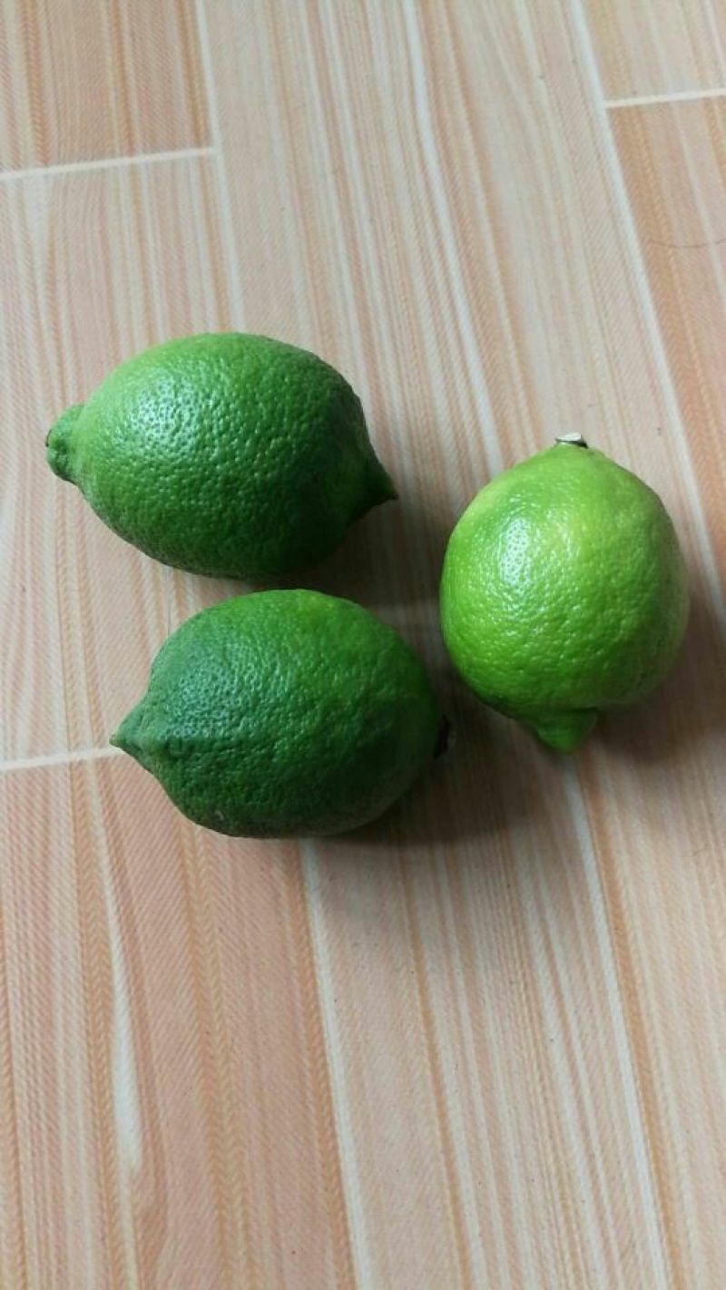 尤力克青果！北京青果
