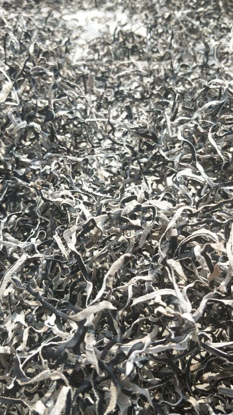 木耳丝白背黑木耳丝拉面木耳丝味千拉面阿香拉面丝