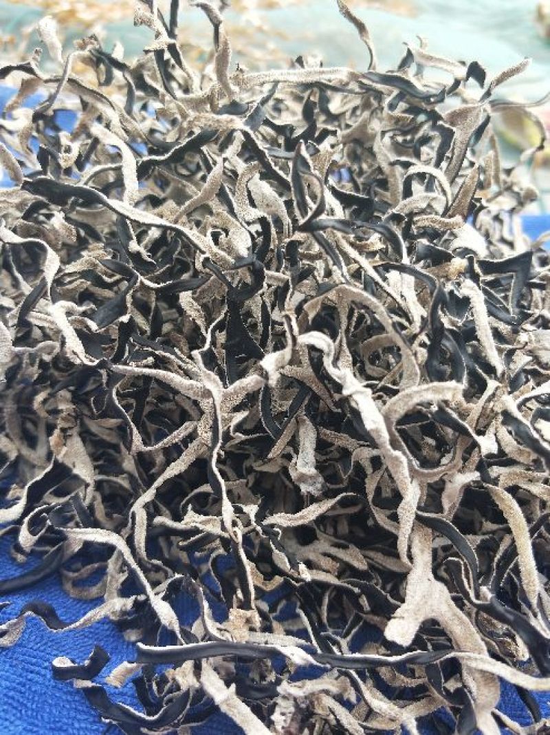木耳丝白背黑木耳丝拉面木耳丝味千拉面阿香拉面丝
