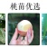 夏之梦桃苗新品种中熟硬肉离核水蜜桃苗日本水蜜桃树苗