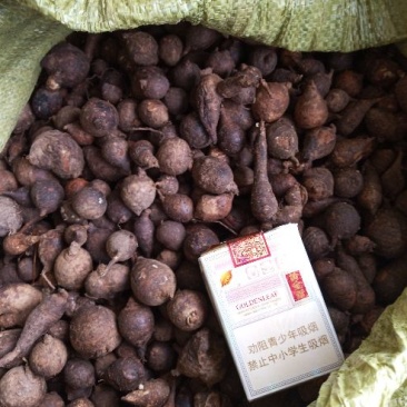鸡头暑，