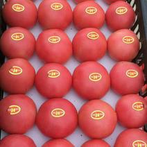 各种西红柿，质量好，价格低廉