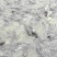 【黑鱼苗】黑鱼苗本地乌鱼苗大小规格齐全欢迎咨询