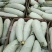 西州蜜瓜，晓蜜25号哈密瓜质量好，价格便宜