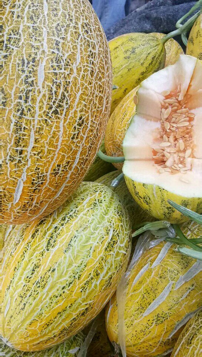 西州蜜瓜，晓蜜25号哈密瓜质量好，价格便宜