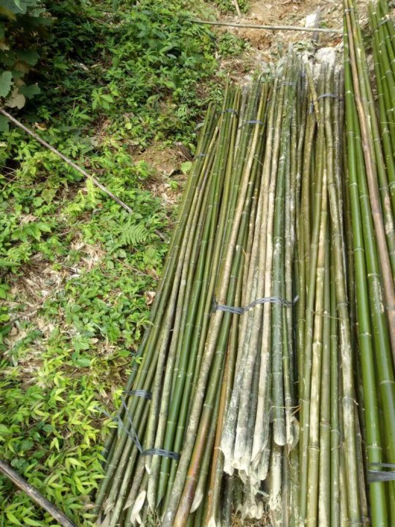 广西桂林市龙胜各族自治县龙脊镇