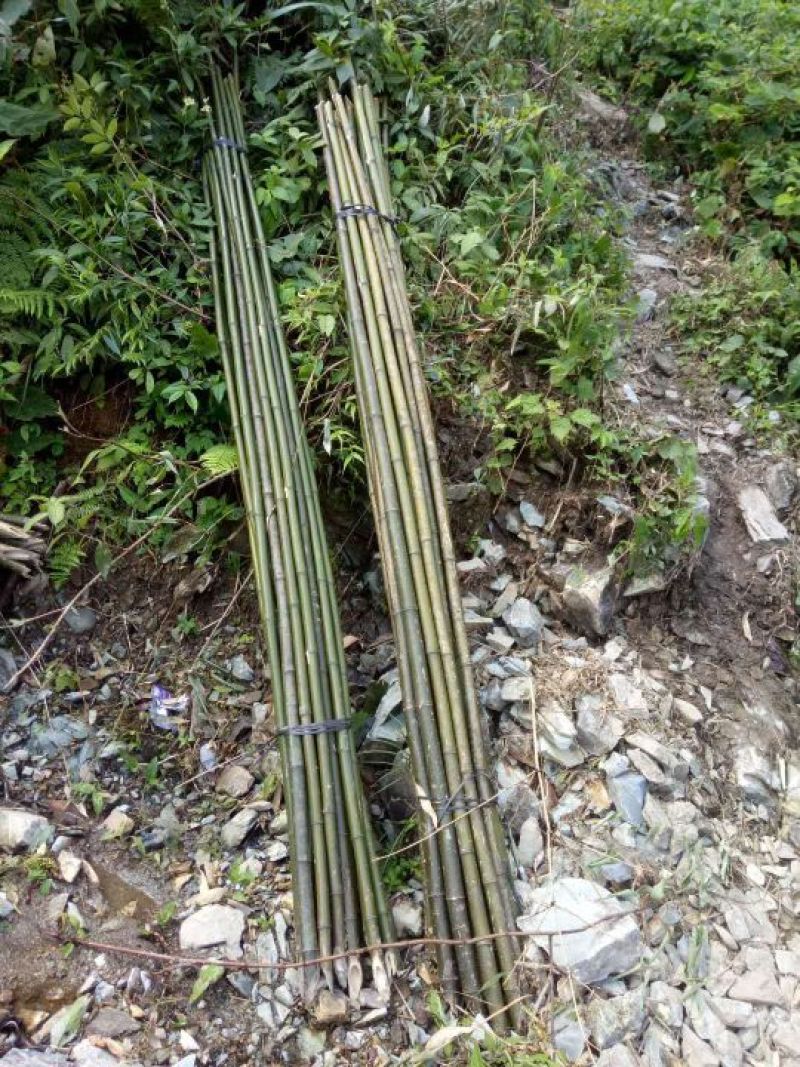 广西桂林市龙胜各族自治县龙脊镇