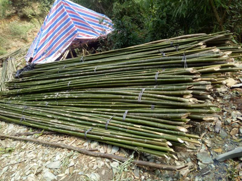 广西桂林市龙胜各族自治县龙脊镇