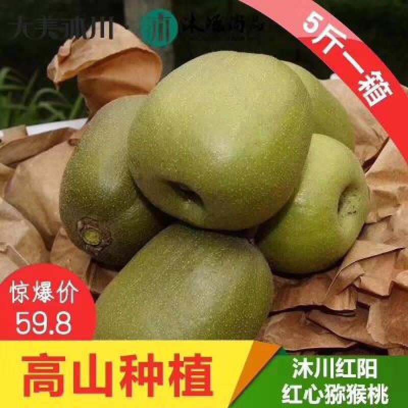 被誉为“水果之王”“维生素C之王”的猕猴桃，酸甜可口，
