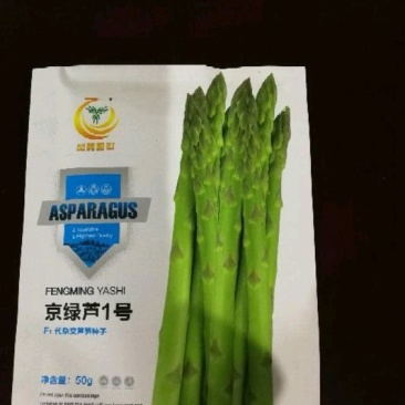 优质芦笋苗