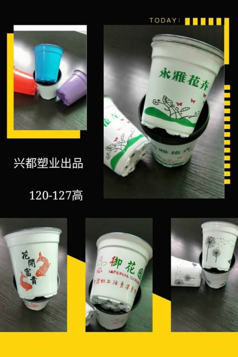 彩色塑料定制花盆