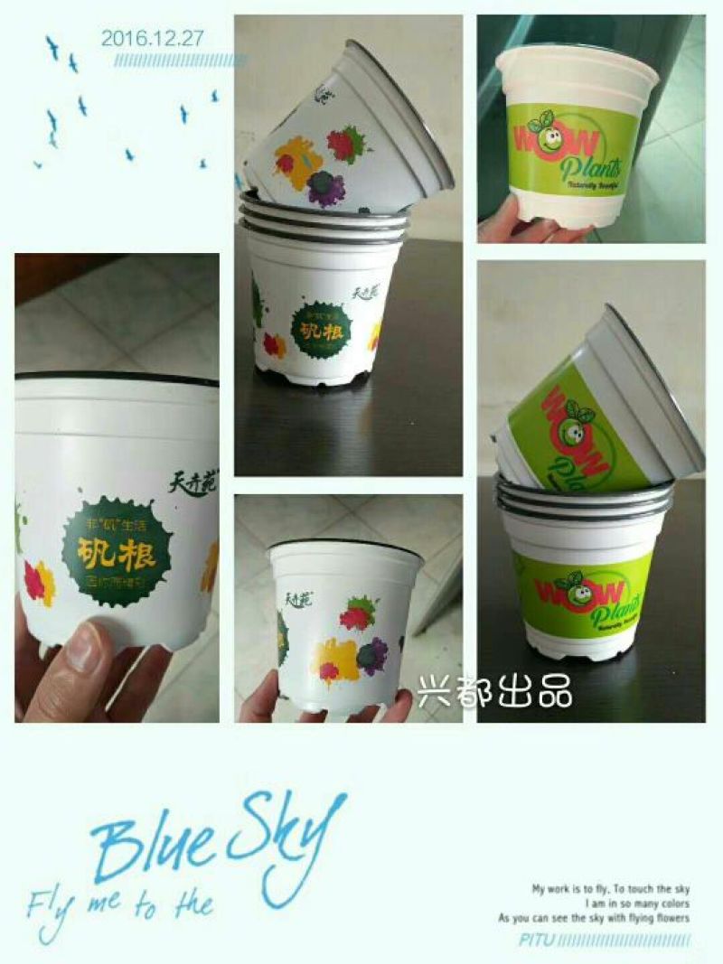 彩色塑料定制花盆