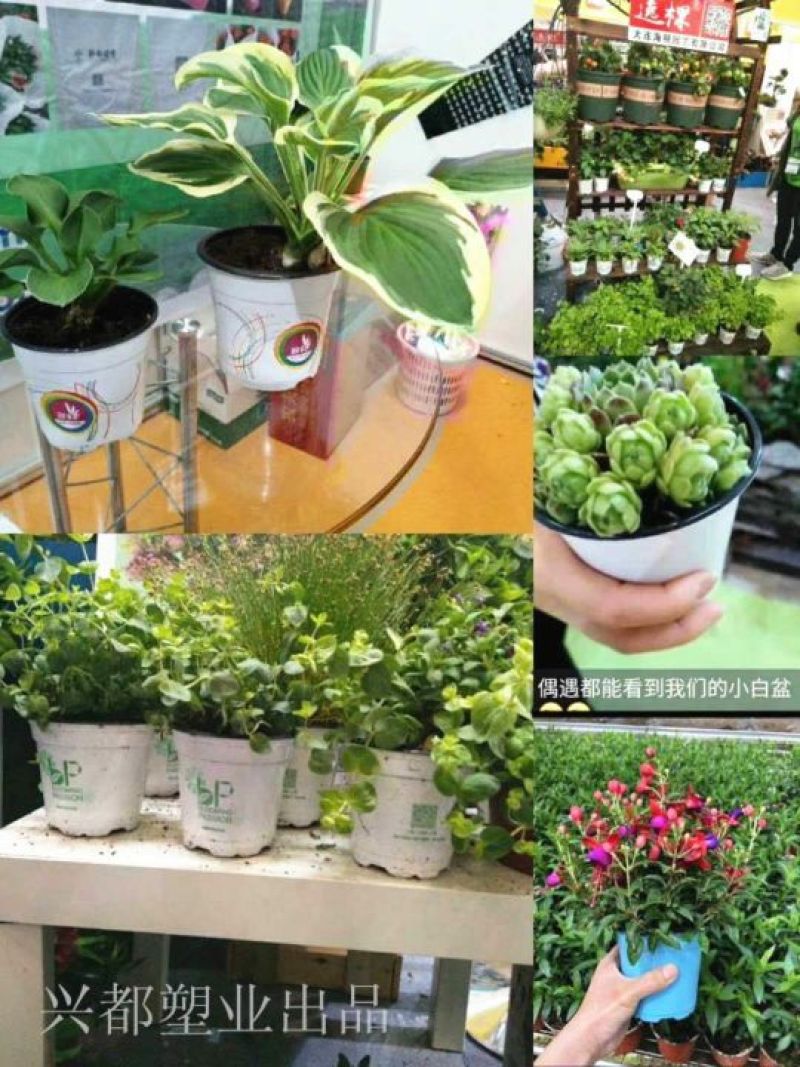 花盆塑料彩色定制
