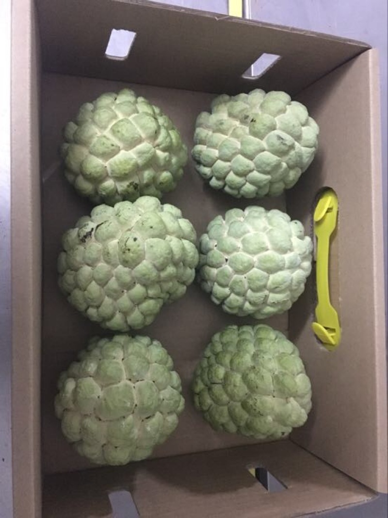 释迦大目释迦番荔枝海南果
