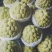 释迦大目释迦番荔枝海南果
