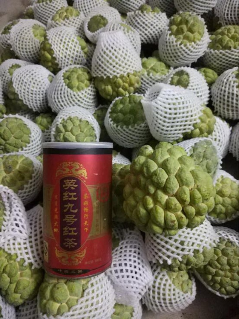 释迦大目释迦番荔枝海南果