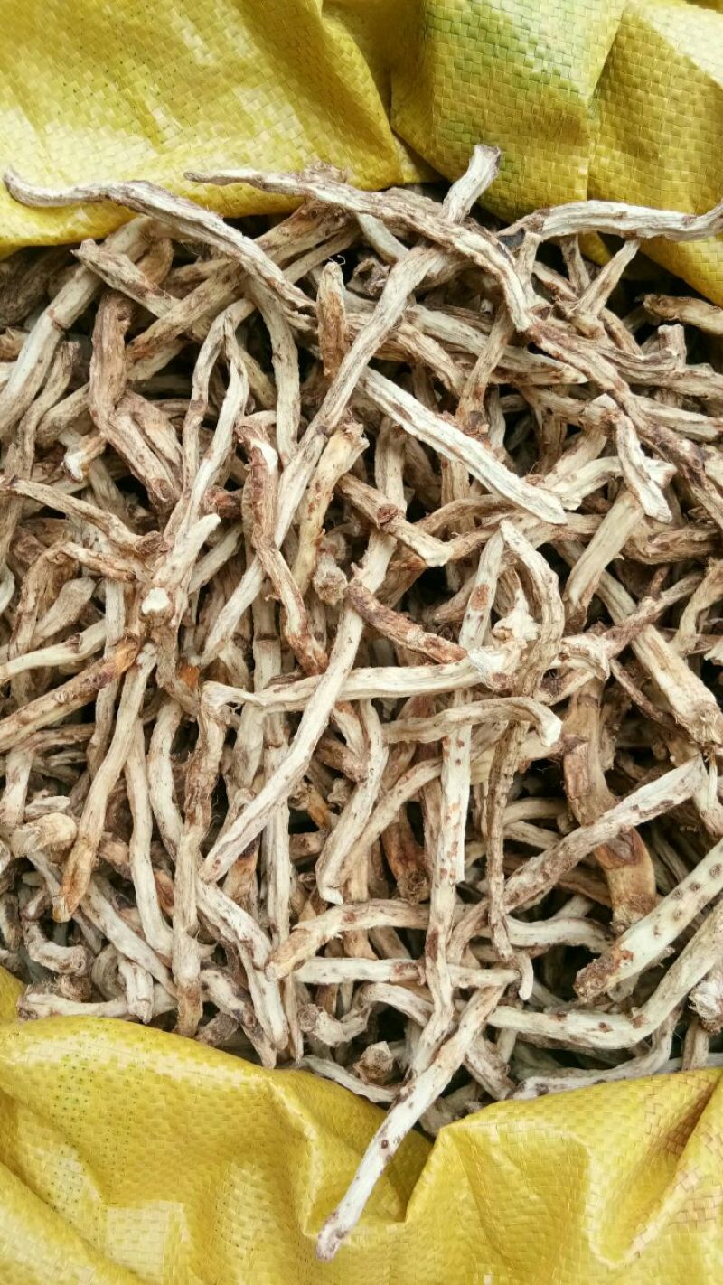 知母肉纯野生