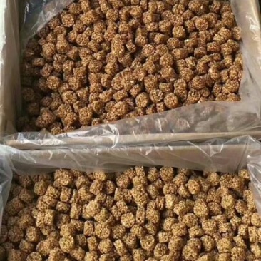燕麦酥