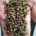 青花椒贵州青花椒2024新货特麻特香净椒干货批发