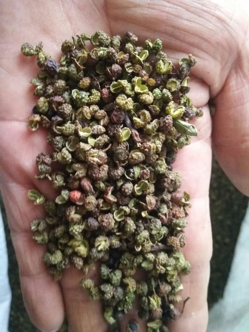 青花椒贵州青花椒2024新货特麻特香净椒干货批发