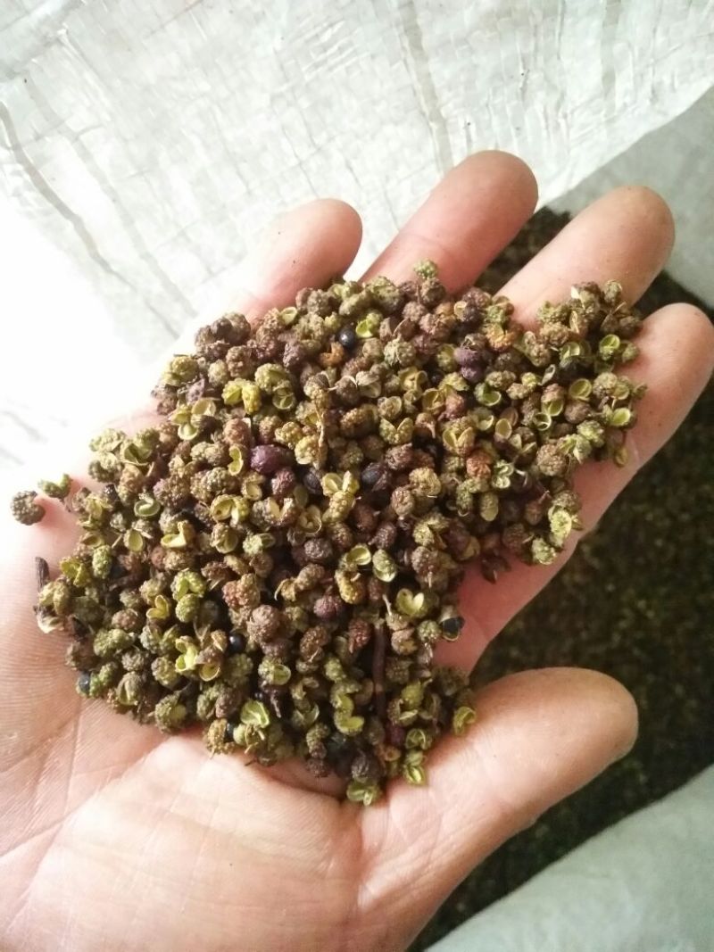 青花椒贵州青花椒2024新货特麻特香净椒干货批发
