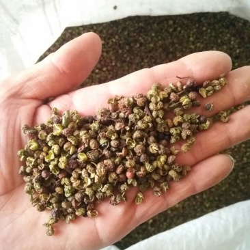 青花椒贵州青花椒2024新货特麻特香净椒干货批发