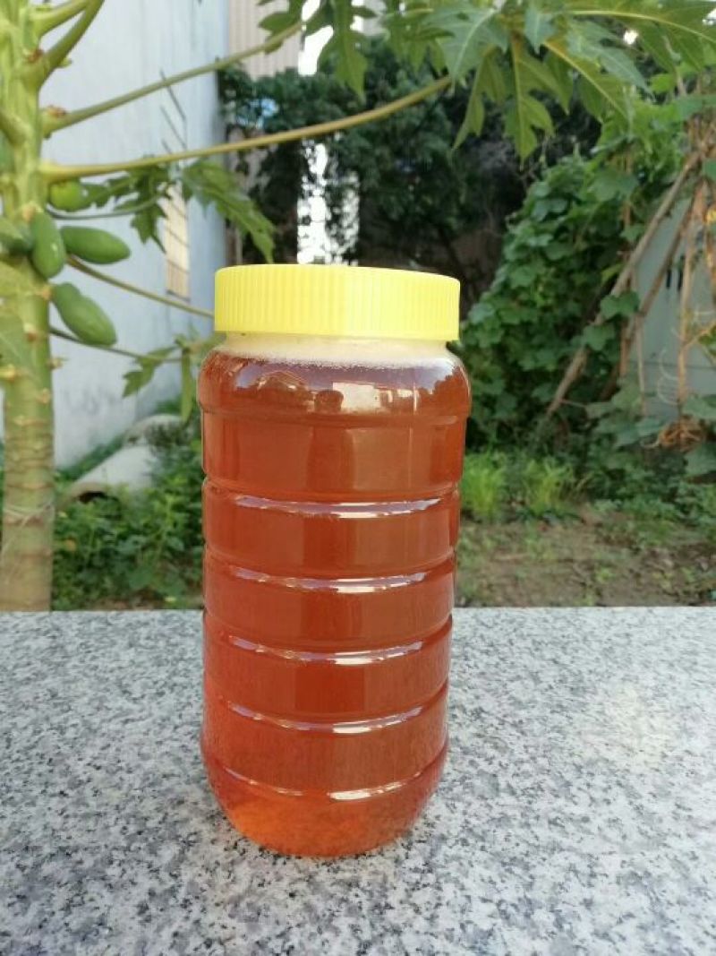 龙眼蜜2斤