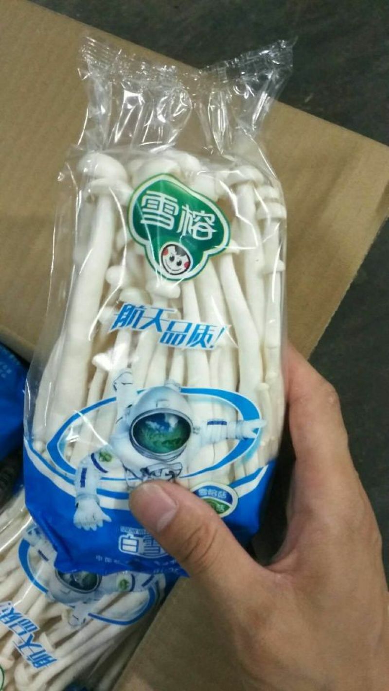 菌菇