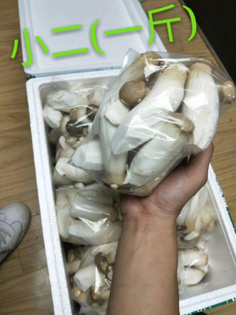 菌菇
