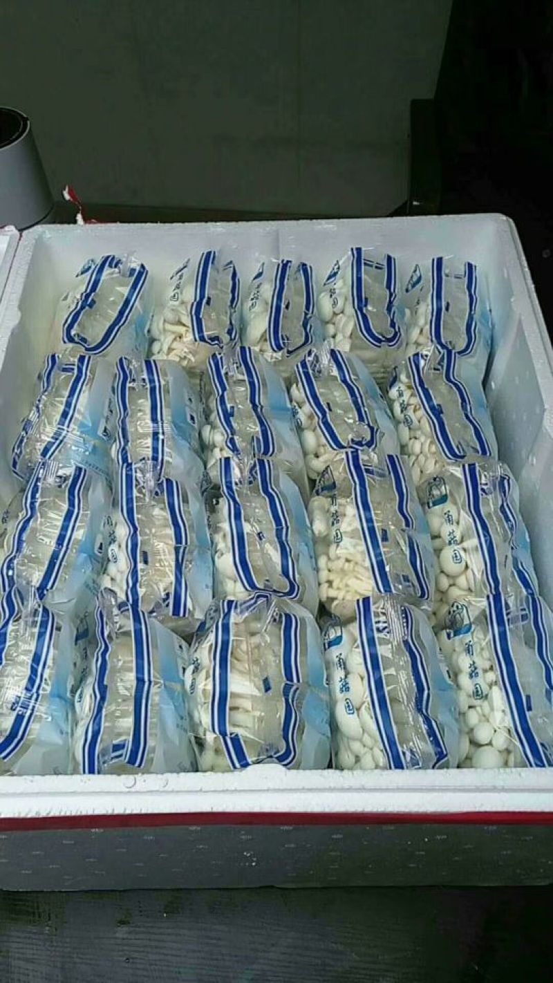 菌菇