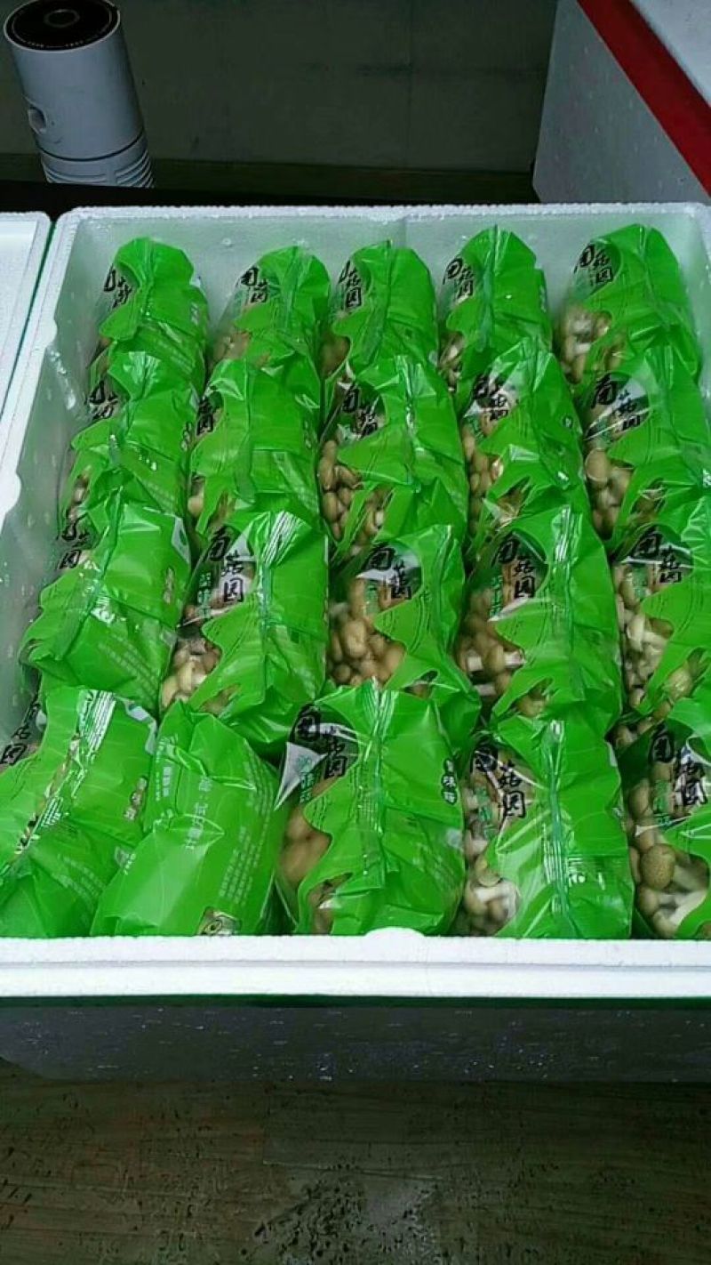 菌菇