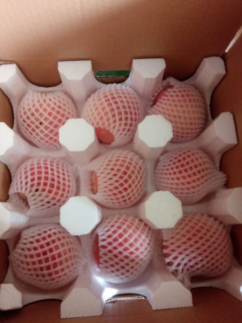 蒙阴水蜜桃一件代发五斤装