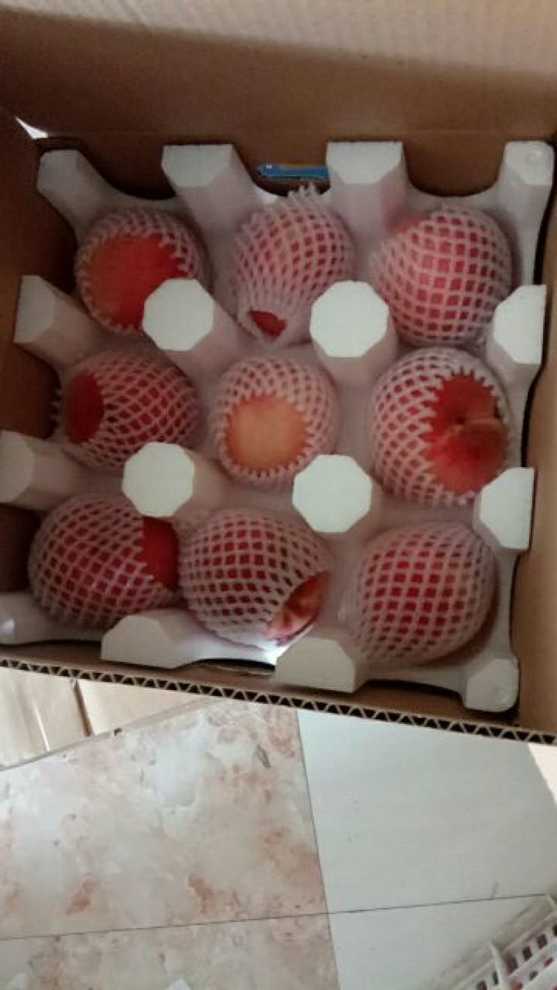 蒙阴水蜜桃一件代发五斤装