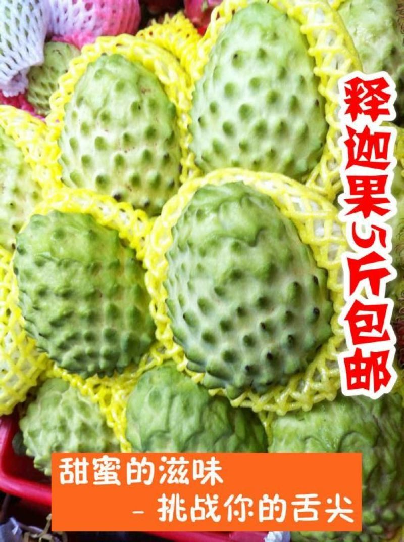 海南释迦果