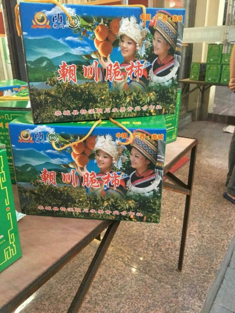 恭城月柿