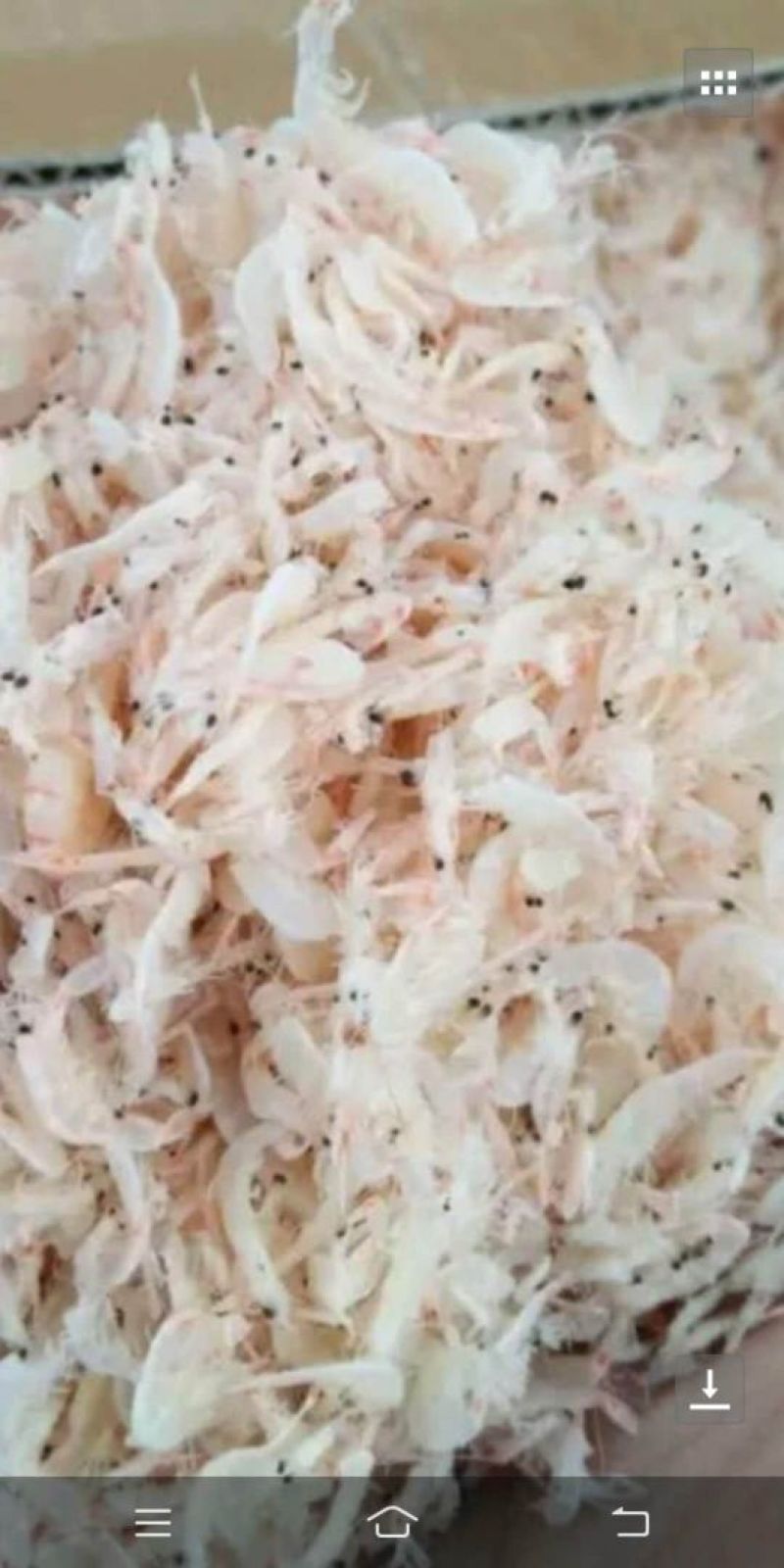 渤海湾好虾皮，淡干不咸，补钙神器，宝宝可以当零食吃的虾皮